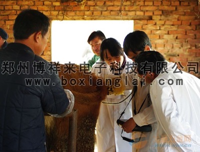 全球五金网 数字技术服务助力甘肃兽用B超市场高效对接真知供应商与“论件询价”